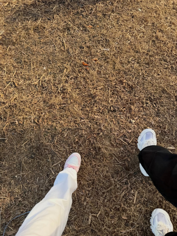 TVB上位小生突然公開戀情晒女友相！高調認愛惹粉絲哭訴︰集體失戀啦