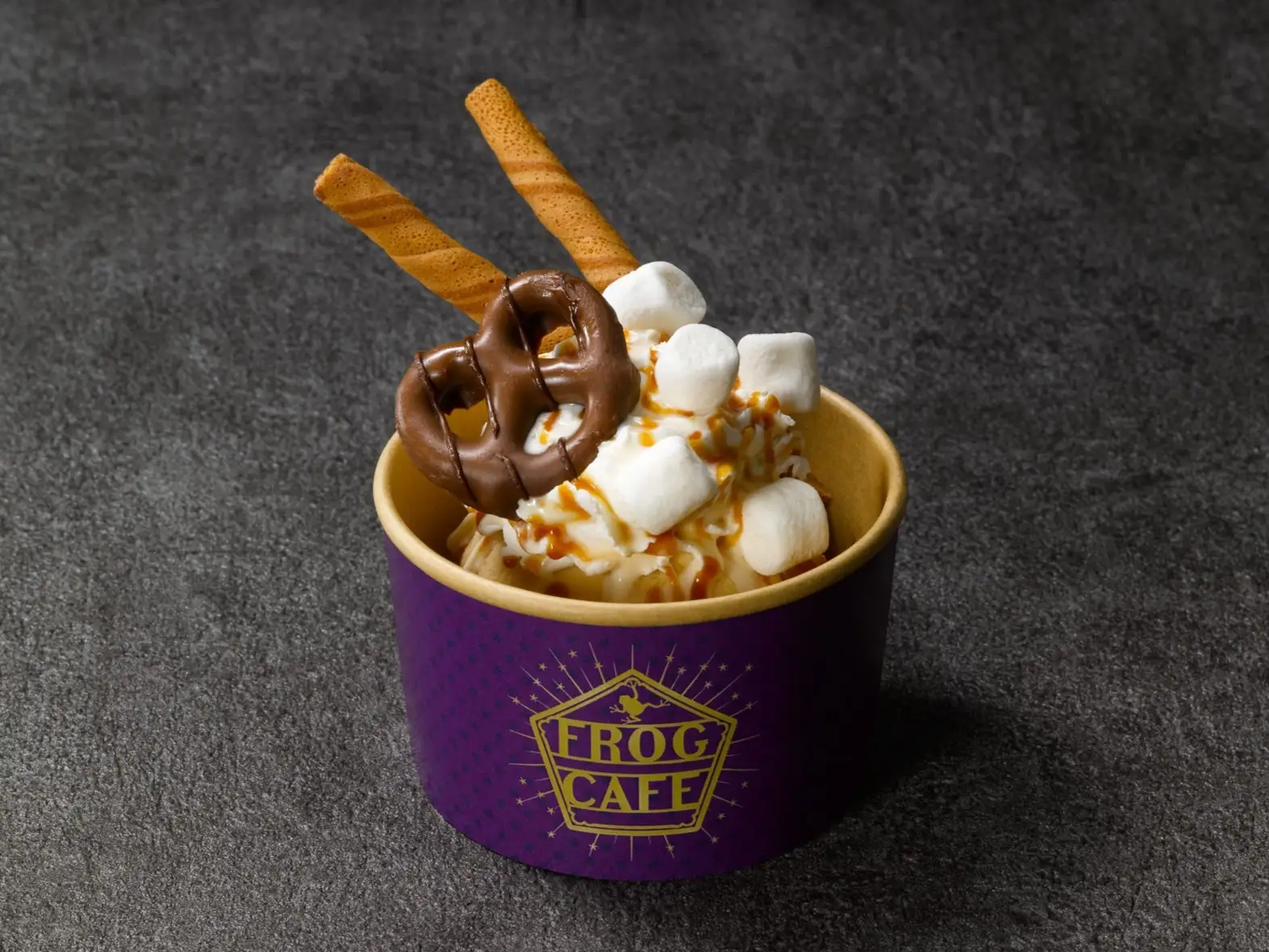 東京哈利波特影城｜25週年限定慶典活動：還原霍格華茲分院儀式、首度公開海格身高、揭隱形斗篷真相 