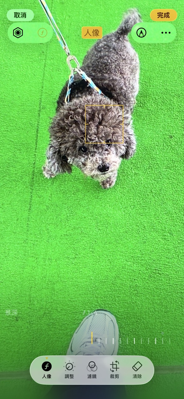 Apple iPhone 17e 開箱實測 加量不加價「絕殺」舊機！$5,099 起 4 大升級有睇頭