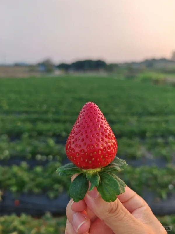 照片來源：小紅書@我们都有光明的未来