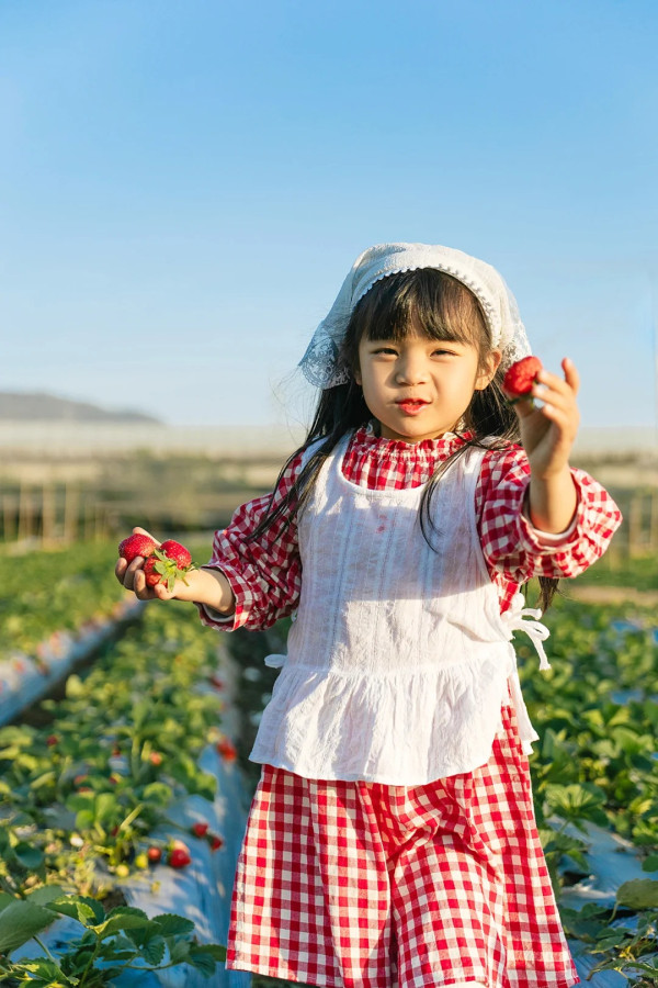 照片來源：小紅書@一颗酸柠檬