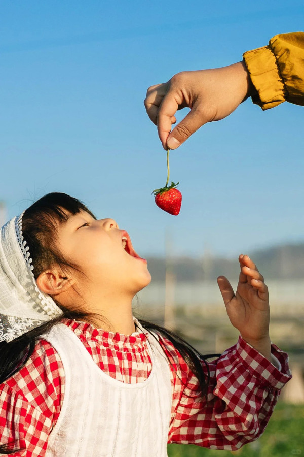 照片來源：小紅書@一颗酸柠檬