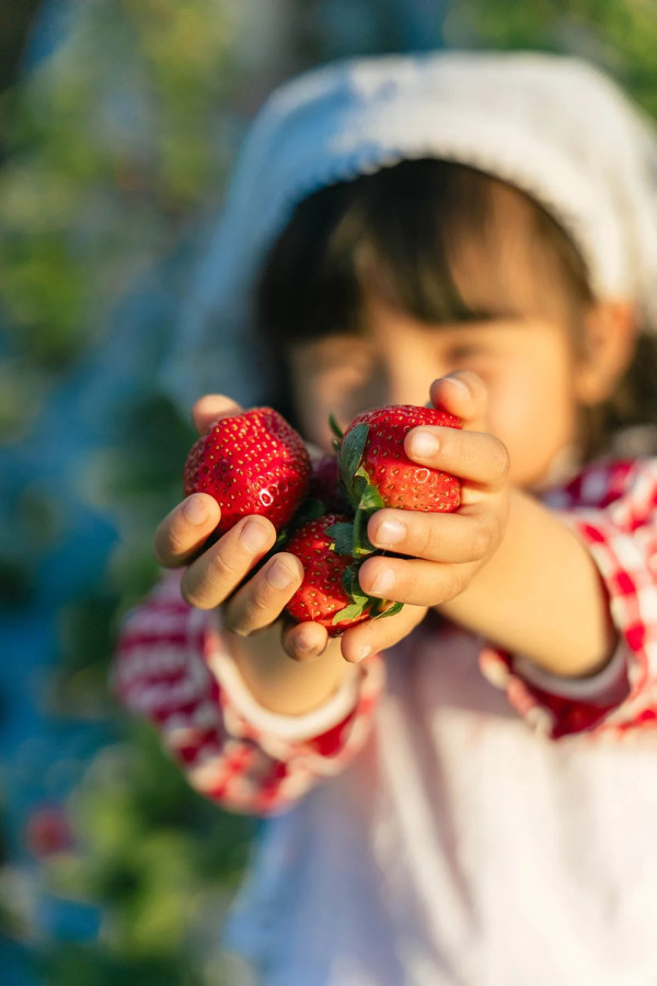 照片來源：小紅書@一颗酸柠檬