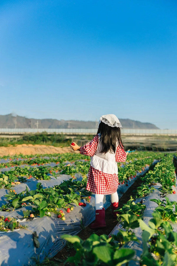 照片來源：小紅書@一颗酸柠檬