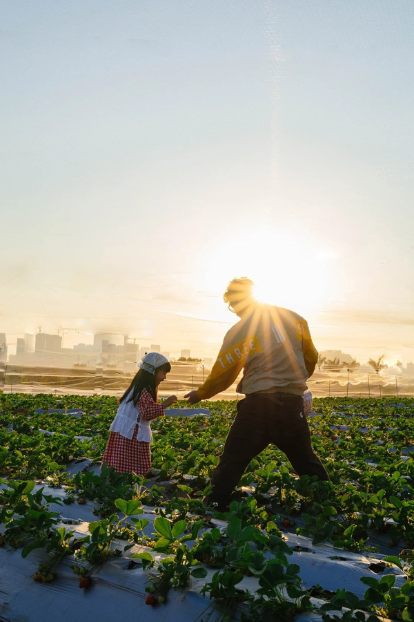 照片來源：小紅書@一颗酸柠檬