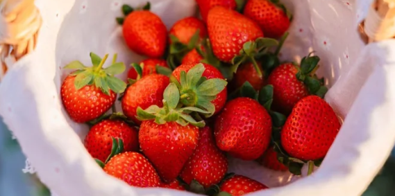 照片來源：小紅書@一颗酸柠檬