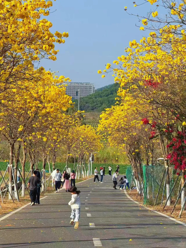 照片來源：小紅書@红桃酥