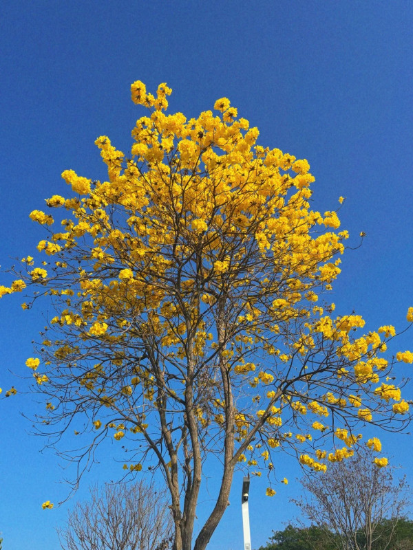 照片來源：小紅書@红桃酥