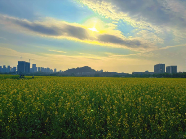 照片來源：小紅書@红桃酥