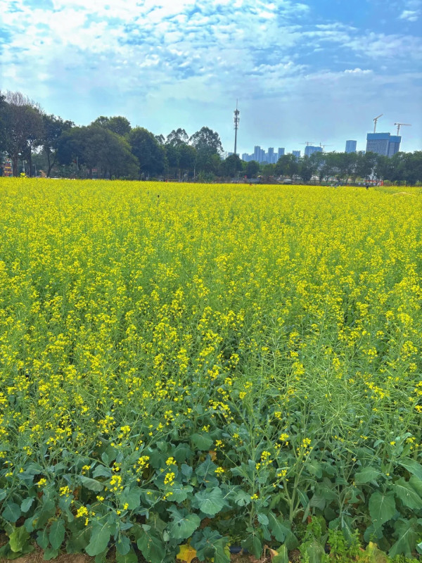 照片來源：小紅書@红桃酥