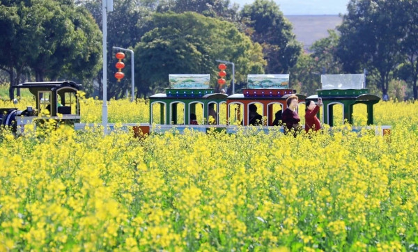 照片來源：小紅書@红桃酥