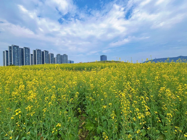 照片來源：小紅書@红桃酥