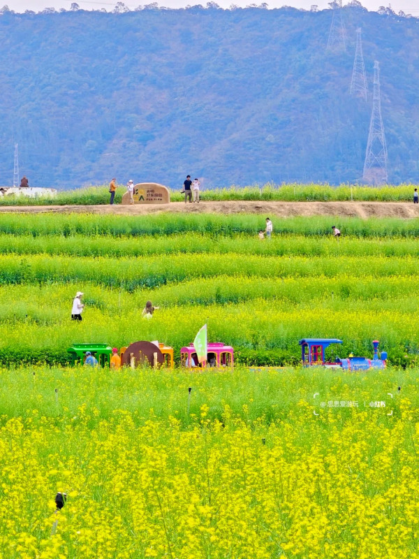 照片來源：小紅書@思思爱游玩