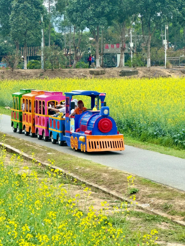 照片來源：小紅書@思思爱游玩