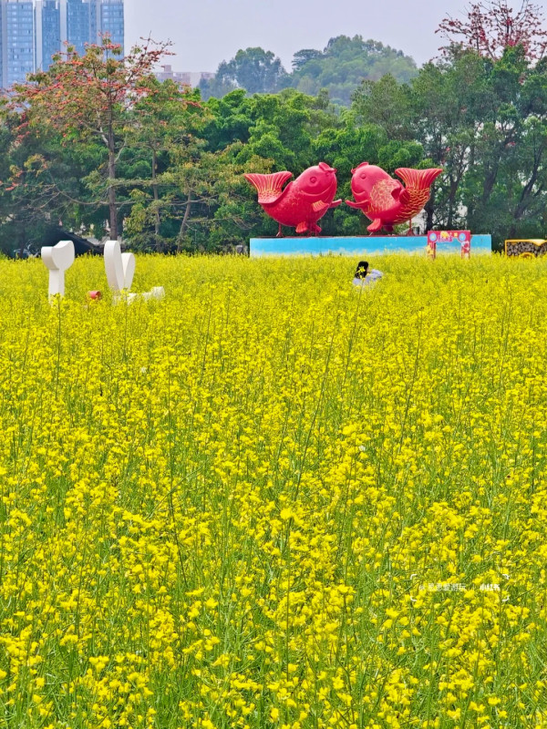 照片來源：小紅書@思思爱游玩