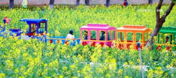 照片來源：小紅書@思思爱游玩