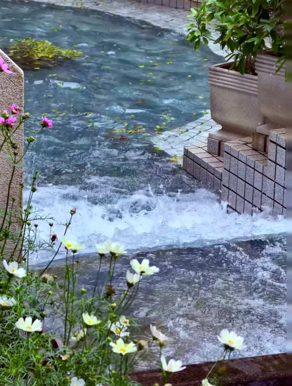 週末好去處!全港6大隱世市區公園 零消費遊歐洲後花園/免費睇動物/海景野餐