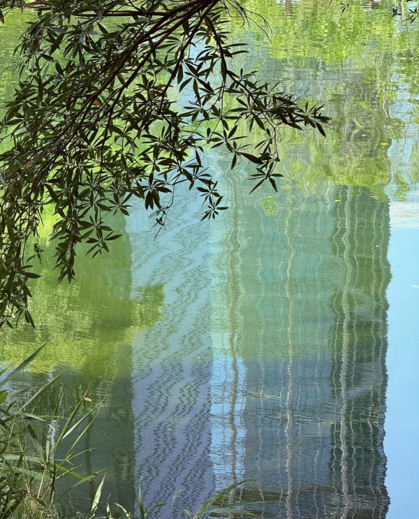 3月週末零消費！全港10大免費著數：中環15萬巨型花海/狂搶大牌護膚品