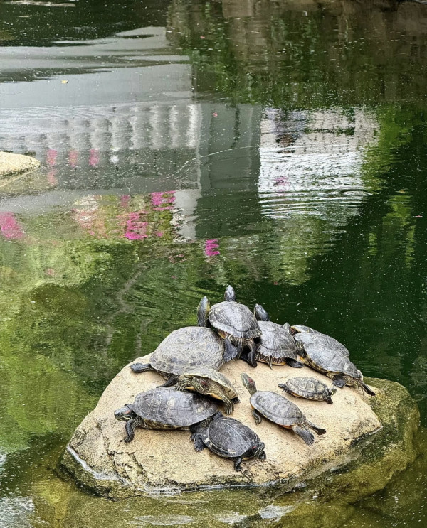 3月週末零消費！全港10大免費著數：中環15萬巨型花海/狂搶大牌護膚品