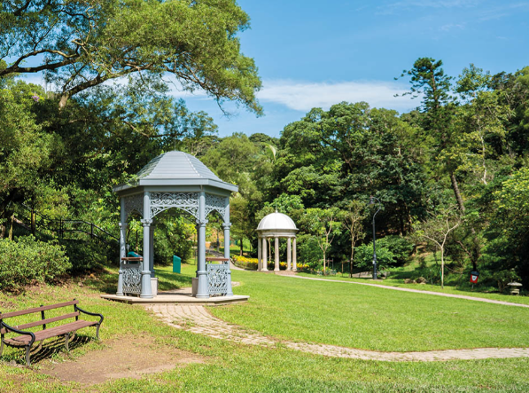 極似歐洲！山頂隱世「愛麗絲夢遊仙境」遊百年港督別墅 附4大打卡位路線