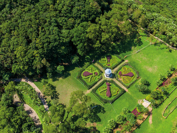 極似歐洲！山頂隱世「愛麗絲夢遊仙境」遊百年港督別墅 附4大打卡位路線