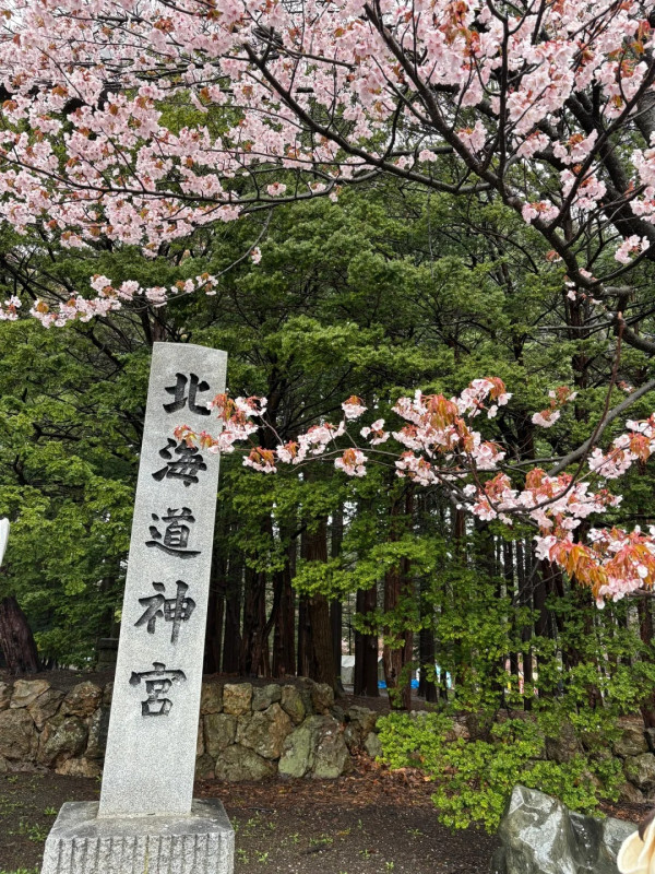 照片來源：小紅書@hanhan