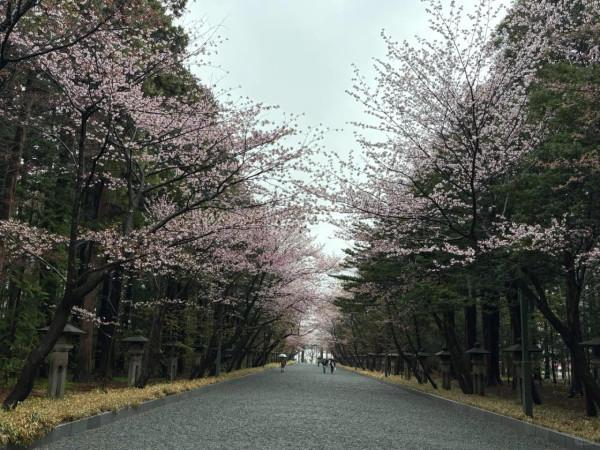 照片來源：小紅書@hanhan