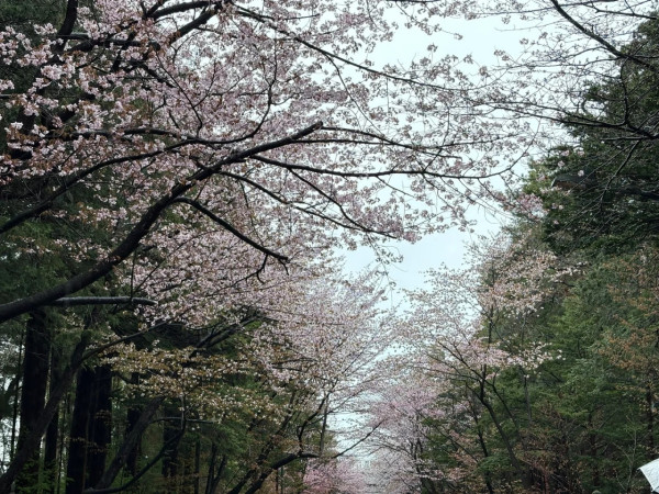 照片來源：小紅書@hanhan