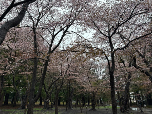 照片來源：小紅書@hanhan