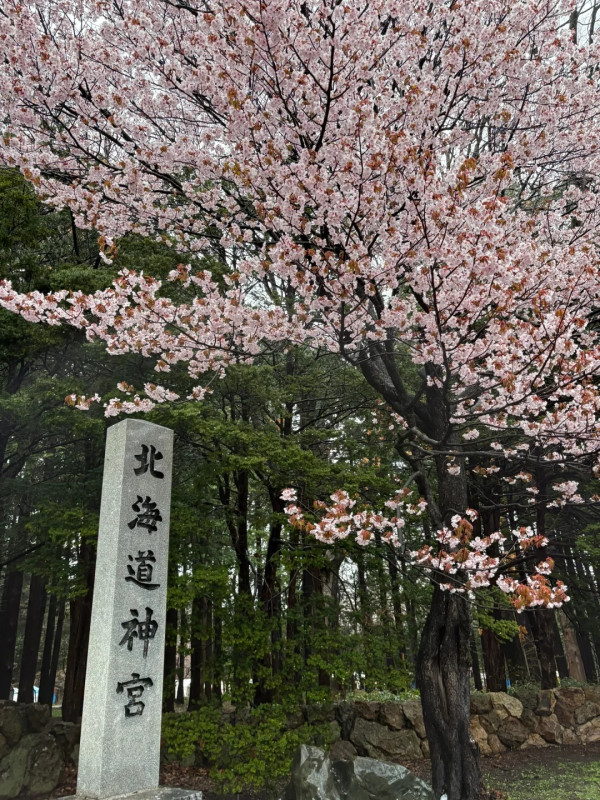 照片來源：小紅書@hanhan