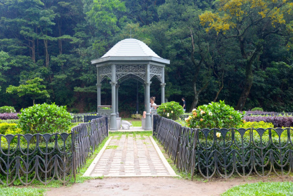 極似歐洲！山頂隱世「愛麗絲夢遊仙境」遊百年港督別墅 附4大打卡位路線