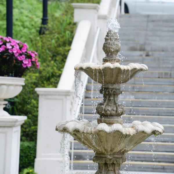 極似歐洲！山頂隱世「愛麗絲夢遊仙境」遊百年港督別墅 附4大打卡位路線