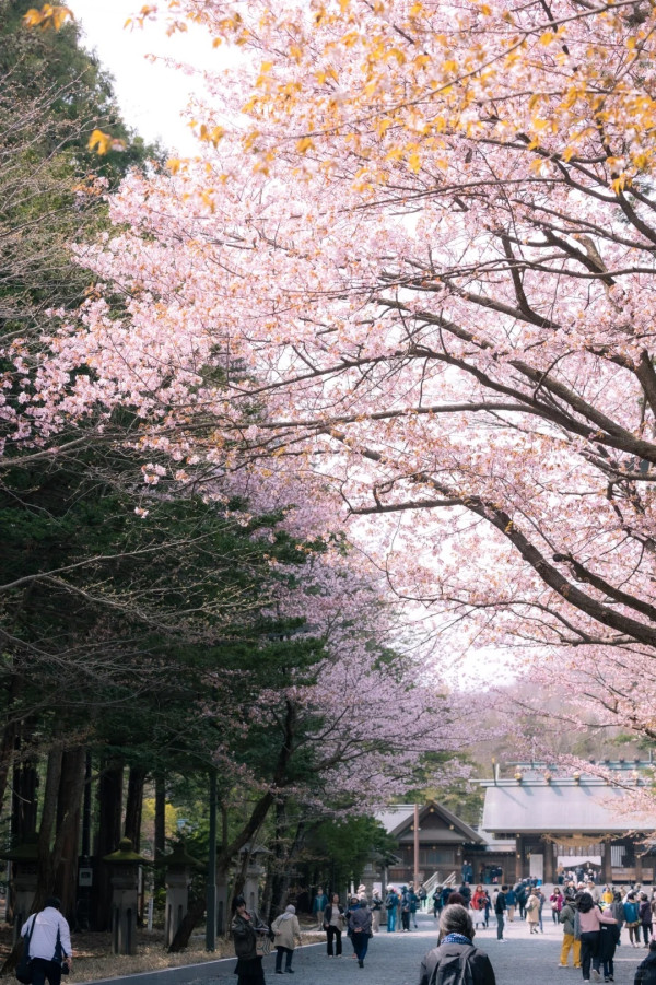 照片來源：小紅書@爱看世界的Lily