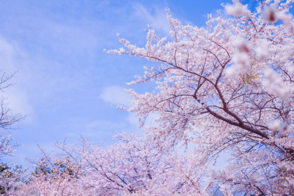 照片來源：小紅書@爱看世界的Lily