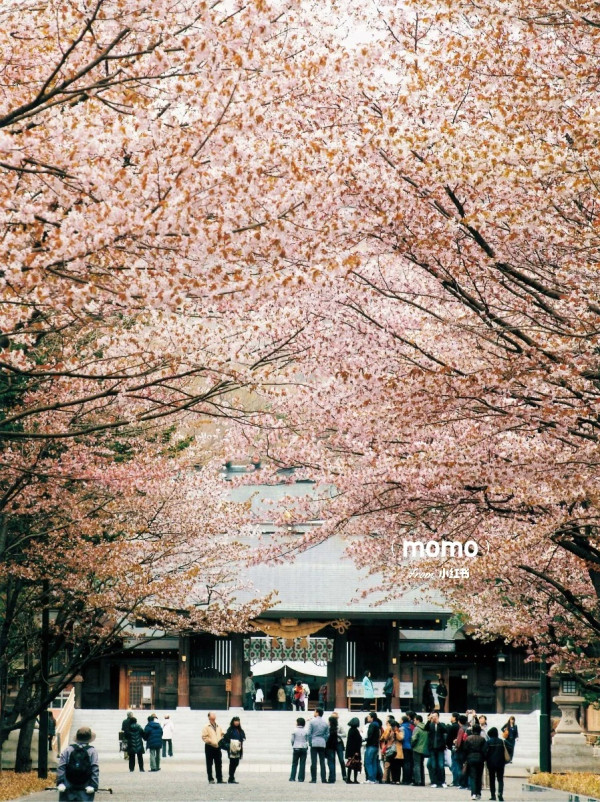 照片來源：小紅書@木槿