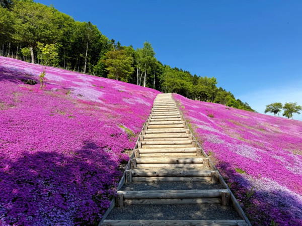 照片來源：小紅書@北海道旅居中