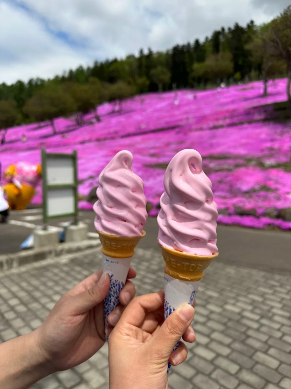 照片來源：小紅書@Alita阿丽塔