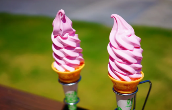 照片來源：小紅書@日本国家旅游局