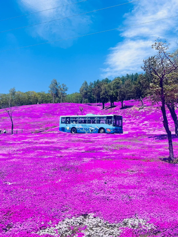 照片來源：小紅書@苗苗和坂坂