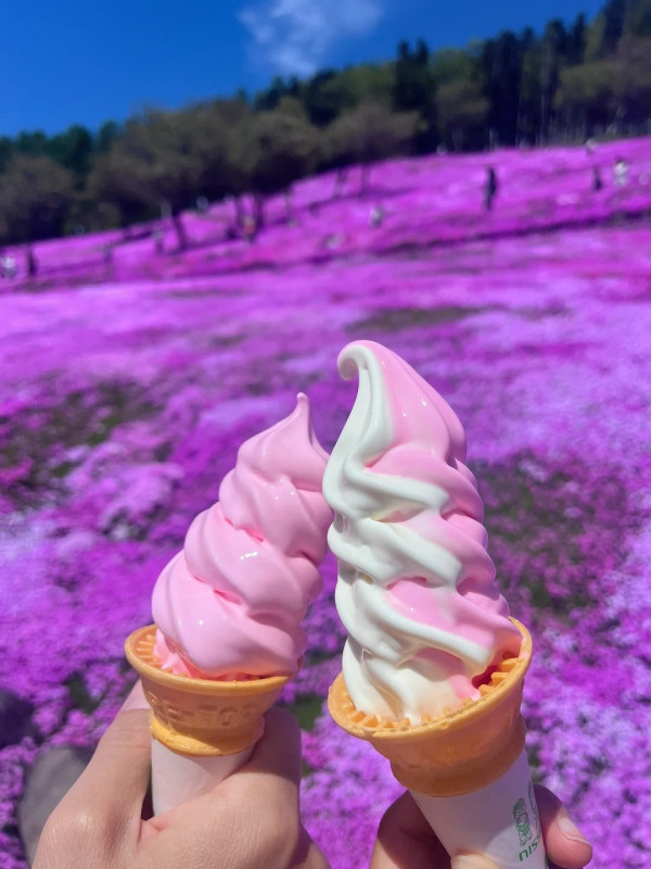 照片來源：小紅書@苗苗和坂坂