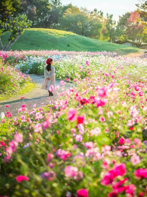 照片來源：小紅書@和之旅