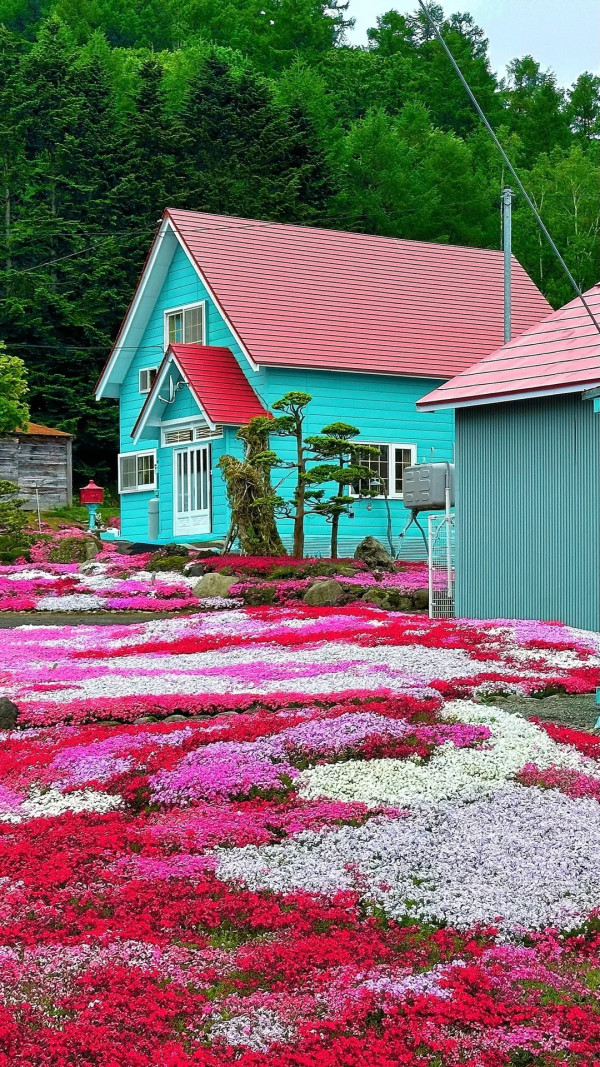 照片來源：小紅書@北海道の瓜怂(包车）