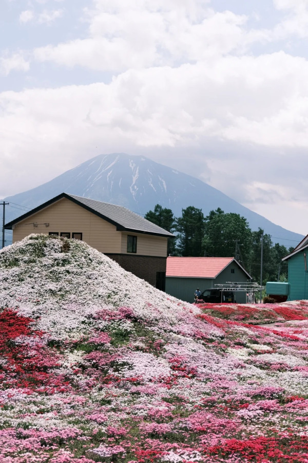 照片來源：小紅書@nfmxxx