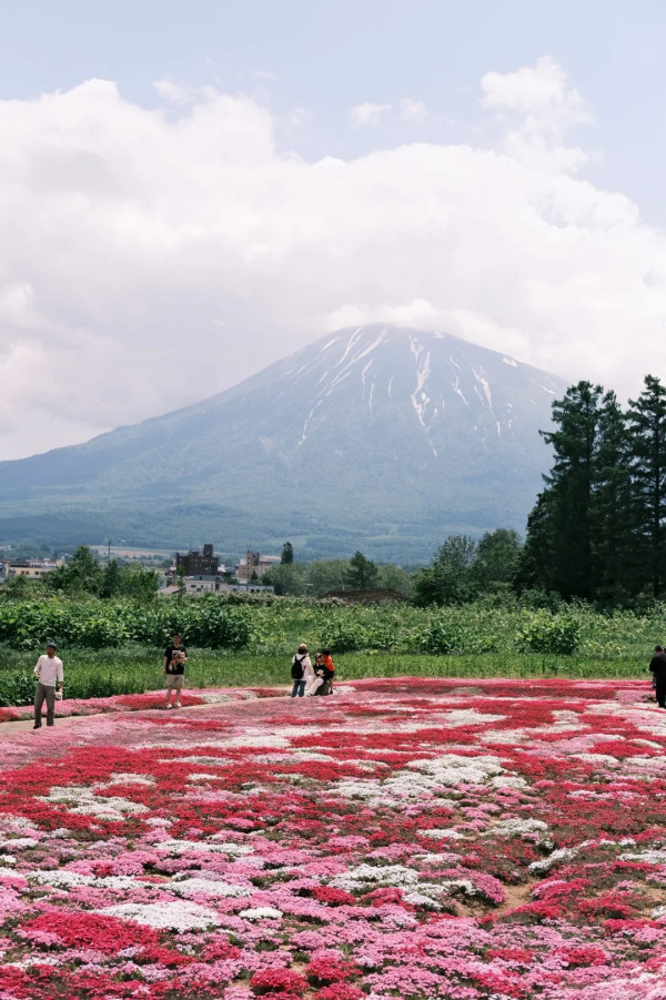 照片來源：小紅書@nfmxxx