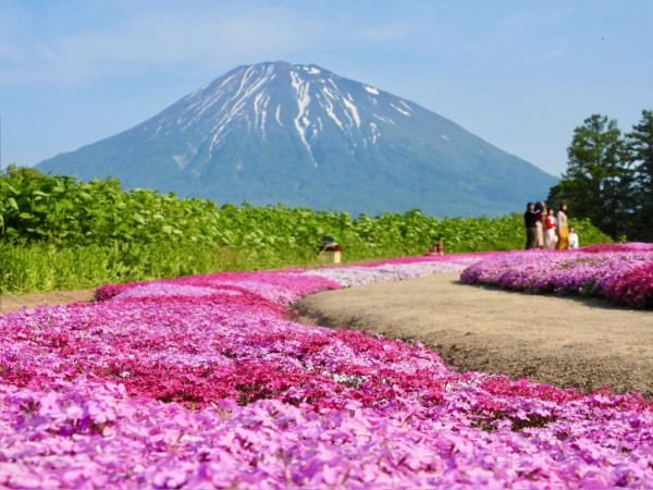 照片來源：小紅書@CreatiWu