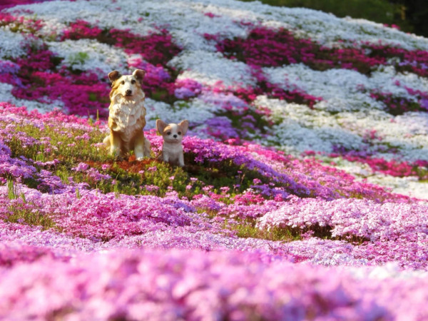 照片來源：小紅書@CreatiWu