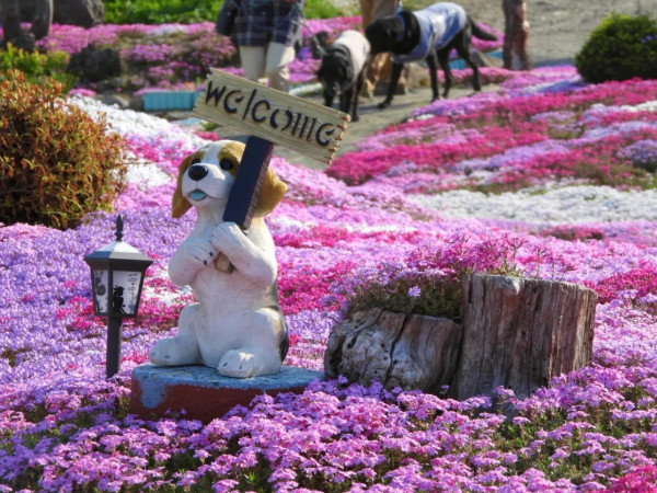 照片來源：小紅書@CreatiWu