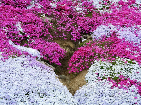 照片來源：小紅書@CreatiWu