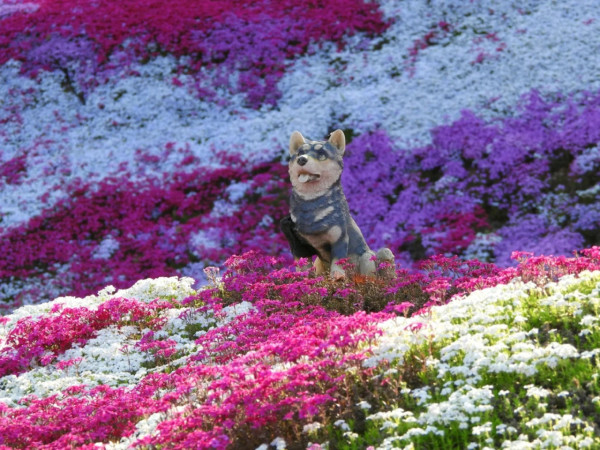 照片來源：小紅書@CreatiWu