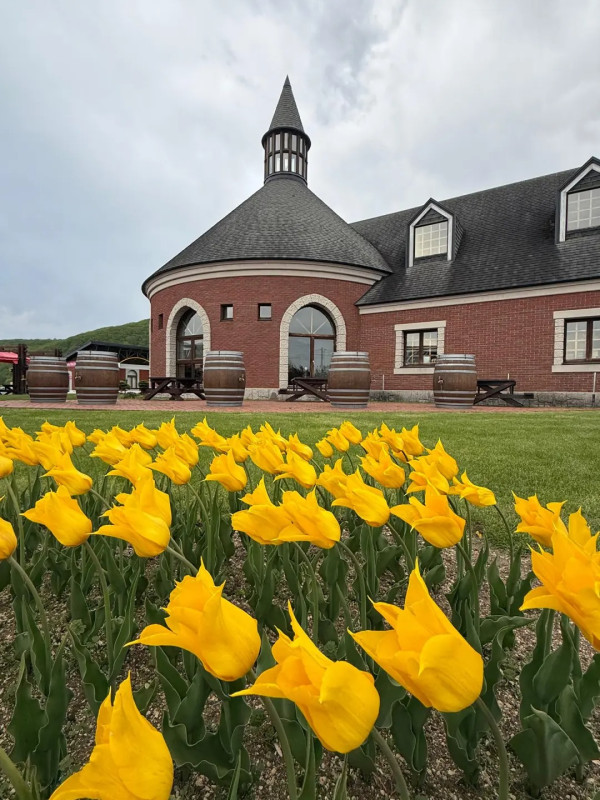 照片來源：小紅書@陳皮櫻桃